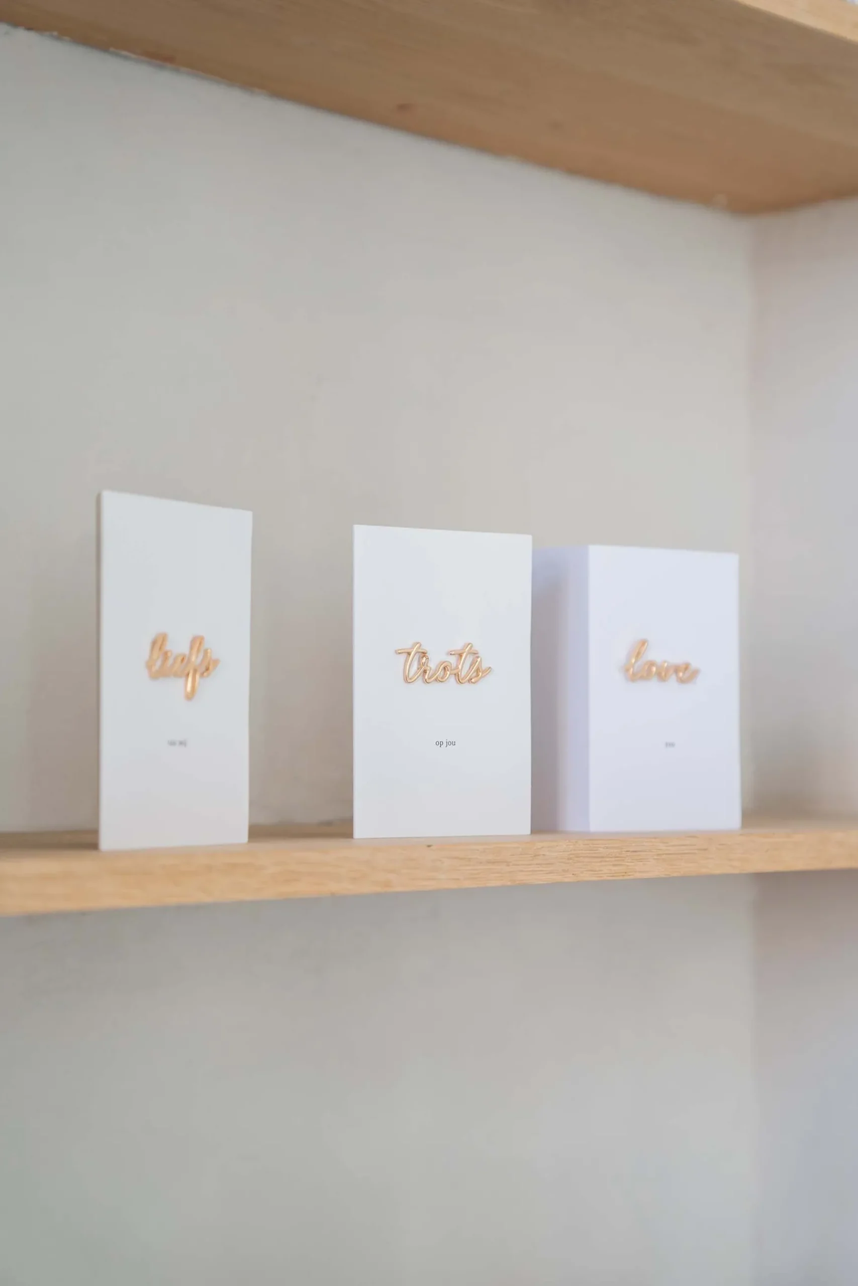 zusss wenskaart trots magneet wit/goud